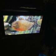 ヒメ日記 2025/09/10 13:33 投稿 あずさ セグレターリオ