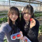 ヒメ日記 2026/02/05 08:18 投稿 あずさ セグレターリオ