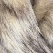 ヒメ日記 2025/11/18 23:03 投稿 まいか【FG系列】 フィーリングin横浜