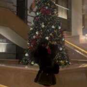 ヒメ日記 2025/12/26 19:28 投稿 まいか【FG系列】 フィーリングin横浜