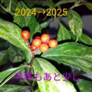 ヒメ日記 2024/12/31 15:17 投稿 ゆき 水戸デブ専肉だんご＆人妻浮気現場