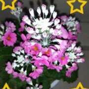 ヒメ日記 2025/01/20 15:17 投稿 ゆき 水戸デブ専肉だんご＆人妻浮気現場