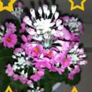 ヒメ日記 2025/01/22 17:06 投稿 ゆき 水戸デブ専肉だんご＆人妻浮気現場