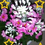 ヒメ日記 2025/02/24 23:37 投稿 ゆき 水戸デブ専肉だんご＆人妻浮気現場