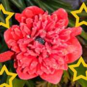 ヒメ日記 2025/03/06 16:28 投稿 ゆき 水戸デブ専肉だんご＆人妻浮気現場