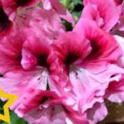 ヒメ日記 2025/03/14 20:44 投稿 ゆき 水戸デブ専肉だんご＆人妻浮気現場