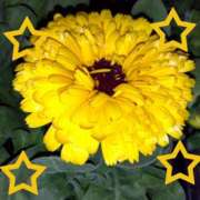 ヒメ日記 2025/05/05 03:52 投稿 ゆき 水戸デブ専肉だんご＆人妻浮気現場