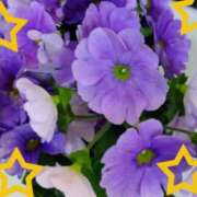 ヒメ日記 2025/05/31 19:53 投稿 ゆき 水戸デブ専肉だんご＆人妻浮気現場