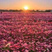 ヒメ日記 2024/12/08 16:07 投稿 つぐみ 西川口淑女館