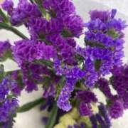 ヒメ日記 2025/02/08 15:34 投稿 つぐみ 西川口淑女館