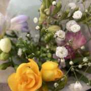 ヒメ日記 2025/03/09 09:37 投稿 つぐみ 西川口淑女館