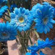 ヒメ日記 2025/03/15 08:32 投稿 つぐみ 西川口淑女館