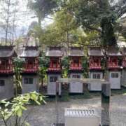 ヒメ日記 2025/03/29 10:27 投稿 つぐみ 西川口淑女館