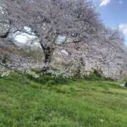 ヒメ日記 2025/04/09 13:45 投稿 つぐみ 西川口淑女館