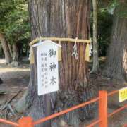 ヒメ日記 2025/05/20 11:09 投稿 つぐみ 西川口淑女館