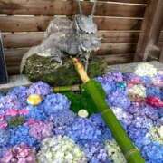 ヒメ日記 2025/05/30 10:22 投稿 つぐみ 西川口淑女館