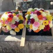 ヒメ日記 2025/05/31 10:12 投稿 つぐみ 西川口淑女館