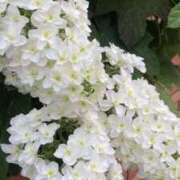 ヒメ日記 2025/06/08 10:06 投稿 つぐみ 西川口淑女館