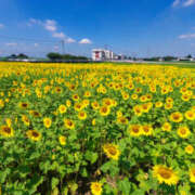 ヒメ日記 2025/08/24 09:00 投稿 つぐみ 西川口淑女館