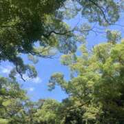 ヒメ日記 2025/09/01 09:50 投稿 つぐみ 西川口淑女館