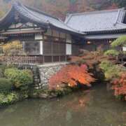 ヒメ日記 2025/11/10 07:23 投稿 つぐみ 西川口淑女館