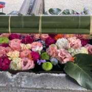 ヒメ日記 2025/12/05 09:32 投稿 つぐみ 西川口淑女館