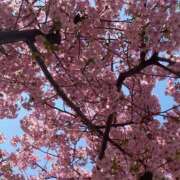 ヒメ日記 2025/04/01 14:20 投稿 はじめ☆Gold 岡山人妻デリヘルLipKiss