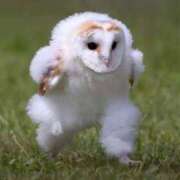 ヒメ日記 2025/04/04 14:00 投稿 はじめ☆Gold 岡山人妻デリヘルLipKiss