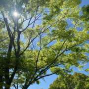 ヒメ日記 2025/04/30 16:44 投稿 はじめ☆Gold 岡山人妻デリヘルLipKiss