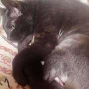 ヒメ日記 2025/05/18 02:56 投稿 はじめ☆Gold 岡山人妻デリヘルLipKiss