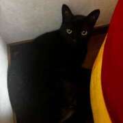 ヒメ日記 2025/07/14 09:34 投稿 はじめ☆Gold 岡山人妻デリヘルLipKiss