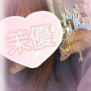 ヒメ日記 2025/01/22 12:48 投稿 茉優【マユ】 ピンクコレクション大阪