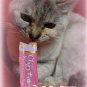 ヒメ日記 2025/03/06 11:09 投稿 茉優【マユ】 ピンクコレクション大阪