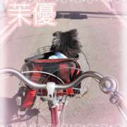 ヒメ日記 2025/03/22 17:49 投稿 茉優【マユ】 ピンクコレクション大阪