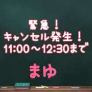 ヒメ日記 2025/03/15 10:49 投稿 茉優【マユ】 ピンクコレクション大阪キタ店