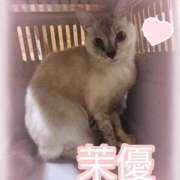 ヒメ日記 2025/10/12 13:59 投稿 茉優【マユ】 ピンクコレクション大阪キタ店