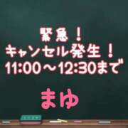 ヒメ日記 2025/03/15 10:48 投稿 茉優【マユ】 ピンクコレクション尼崎店