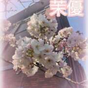 ヒメ日記 2025/04/10 00:17 投稿 茉優【マユ】 ピンクコレクション尼崎店