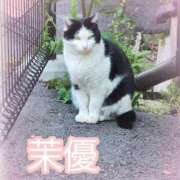 ヒメ日記 2025/04/21 16:13 投稿 茉優【マユ】 ピンクコレクション尼崎店