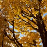 ヒメ日記 2024/12/08 08:44 投稿 もも SKY(スカイ)