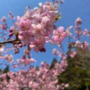 ヒメ日記 2025/04/09 08:07 投稿 あすな Candy×Candy （キャンディ×キャンディ）