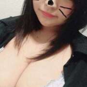 ヒメ日記 2024/12/23 16:44 投稿 こゆき ぷるるん小町日本橋店