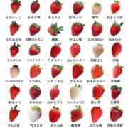 ヒメ日記 2025/03/28 20:06 投稿 さき ぽちゃらん神栖店