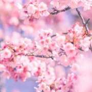 ヒメ日記 2025/03/27 10:45 投稿 まり 奥様鉄道69 東京店