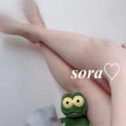 ヒメ日記 2025/09/10 09:07 投稿 そら 池袋千姫