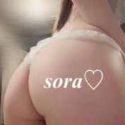 ヒメ日記 2026/02/20 13:47 投稿 そら 池袋千姫