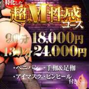 ヒメ日記 2024/12/29 15:39 投稿 朝霞 BBW錦糸町店