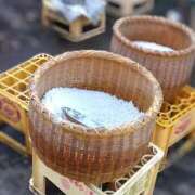 ヒメ日記 2024/12/31 13:00 投稿 朝霞 BBW錦糸町店