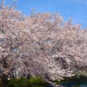 ヒメ日記 2025/04/01 08:43 投稿 朝霞 BBW錦糸町店