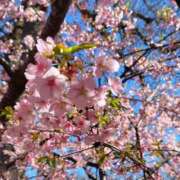 ヒメ日記 2026/04/01 06:15 投稿 朝霞 BBW錦糸町店